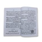 Sukhan e Nao (سخن نو)