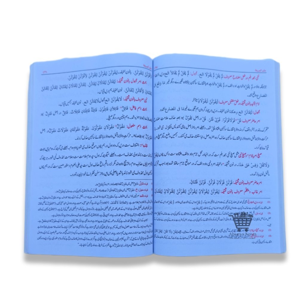 Ilmus Segha (علم الصیغہ)