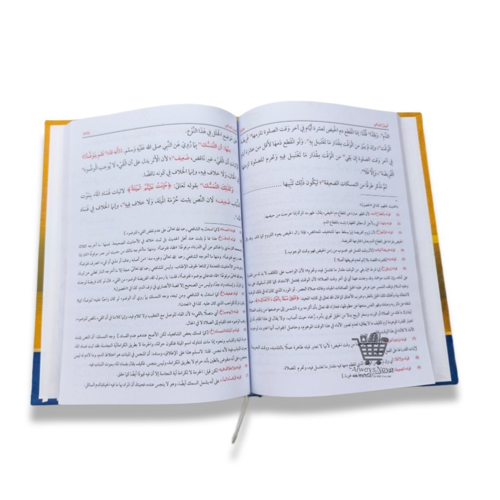 Usoolus Shashi (اصول الشاشی)