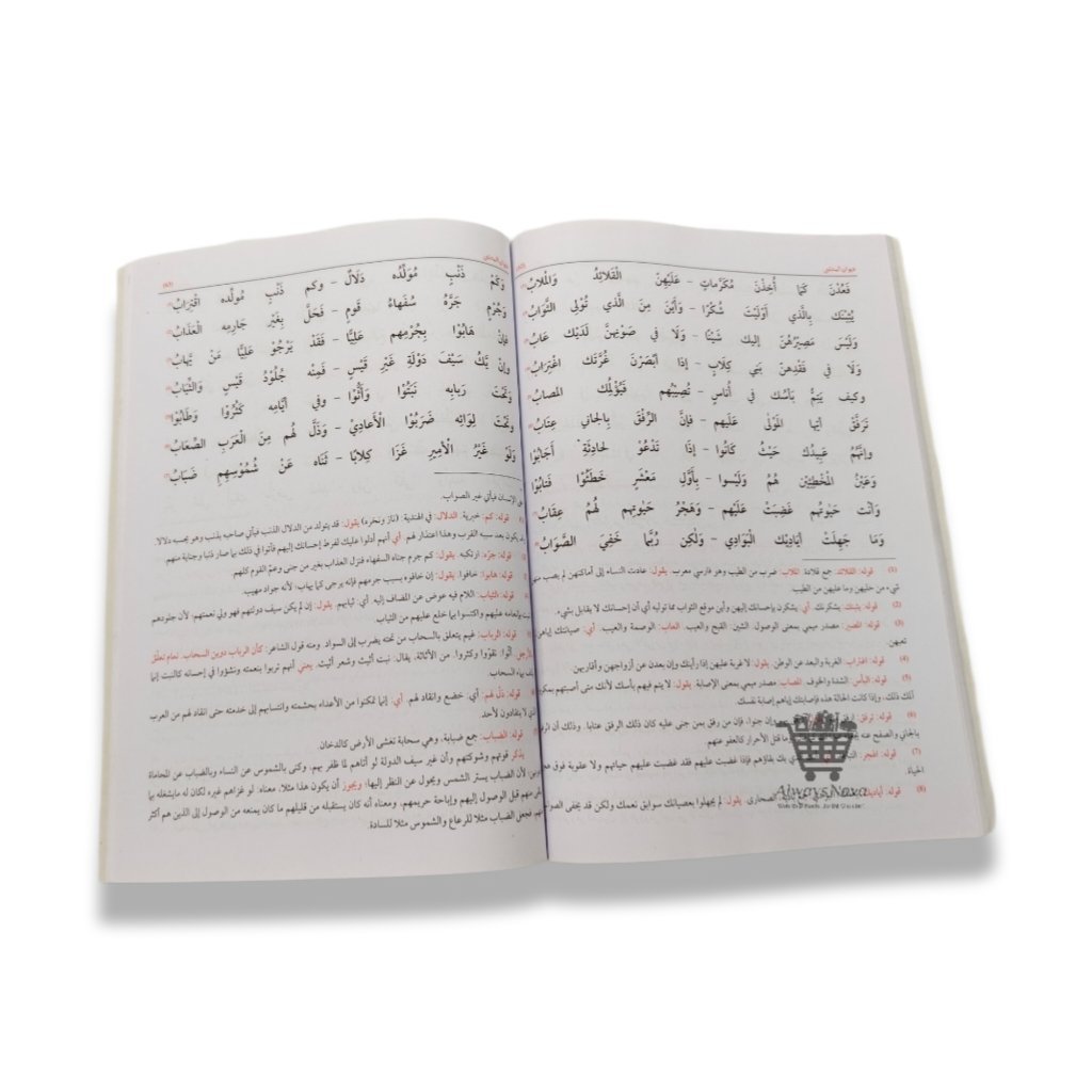 Deewan ul Mutanabbi (دیوان المتنبی)