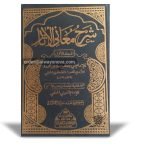 Sharah Ma’anil Aasaar Awwal (شرح معانی الآثار اول)