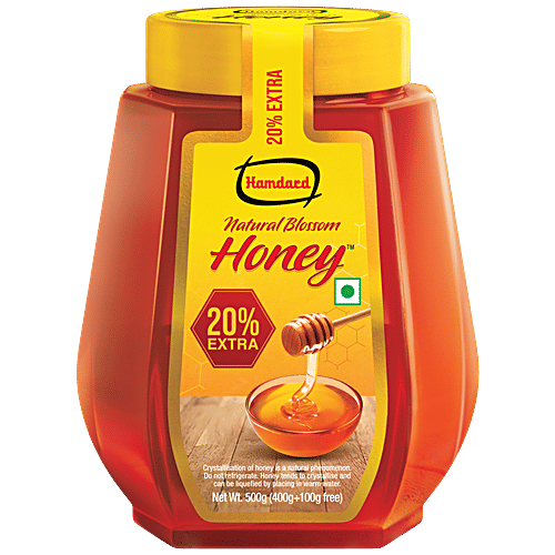 Hamdard Honey Natural Blossom Honey With Promo Pack (500g)